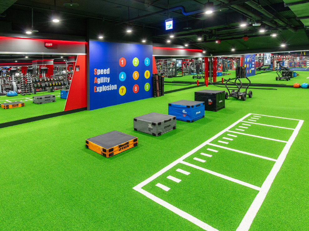 ts-new_functional-turf-4